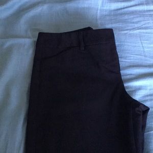 Express Editor Dress Pants